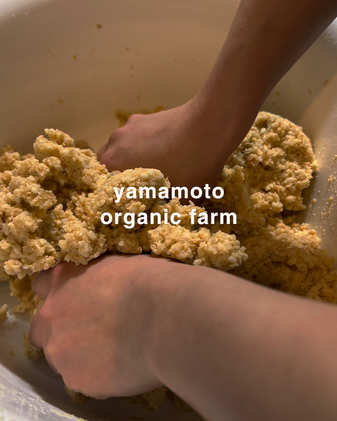 やまもと有機菜園 味噌づくり