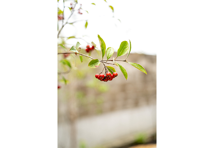 女性専用よもぎ蒸しと東洋深部リンパトリートメント　なごみあん　呉市焼山